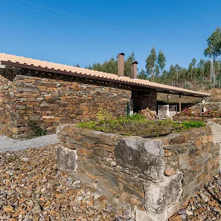 T3 Com Piscina E Jardim - Casula No Caramulo *