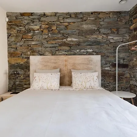 T3 Com Piscina E Jardim - Casula No Caramulo *