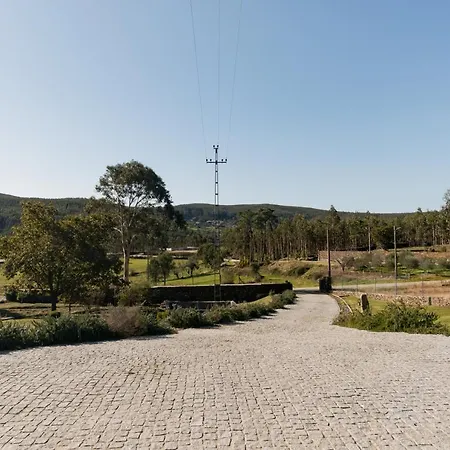 T3 Com Piscina E Jardim - Casula No Caramulo *
