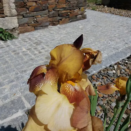 T3 Com Piscina E Jardim - Casula No Caramulo Casa vacanze Tondela