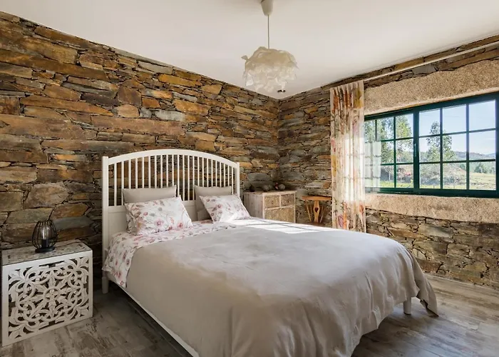 T3 Com Piscina E Jardim - Casula No Caramulo