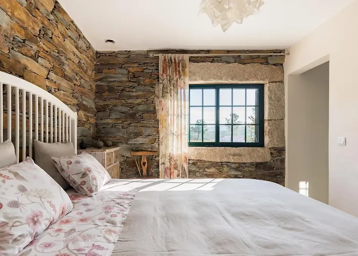 T3 Com Piscina E Jardim - Casula No Caramulo *