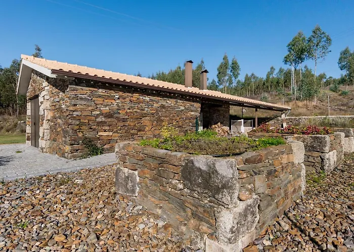 T3 Com Piscina E Jardim - Casula No Caramulo *