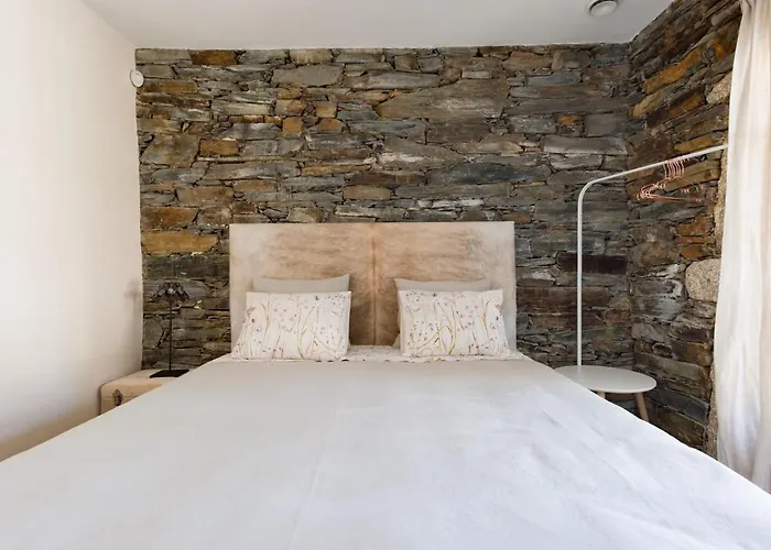 T3 Com Piscina E Jardim - Casula No Caramulo *