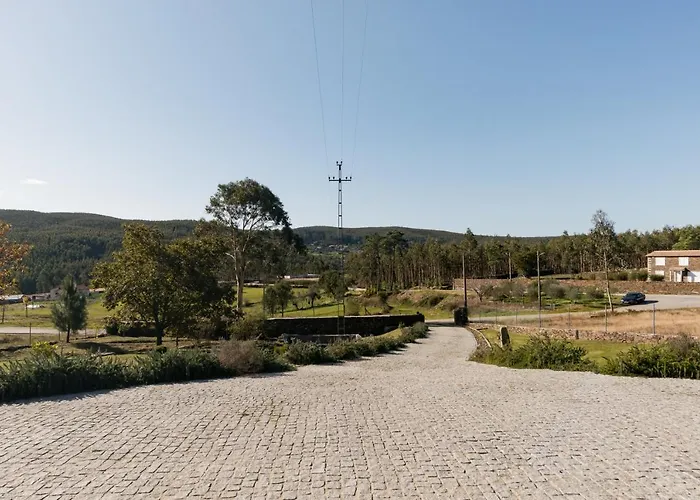 T3 Com Piscina E Jardim - Casula No Caramulo *