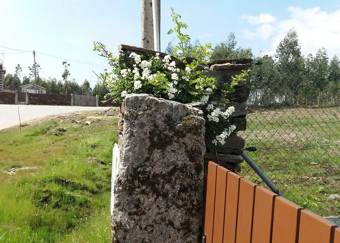 T3 Com Piscina E Jardim - Casula No Caramulo Prázdninový dům